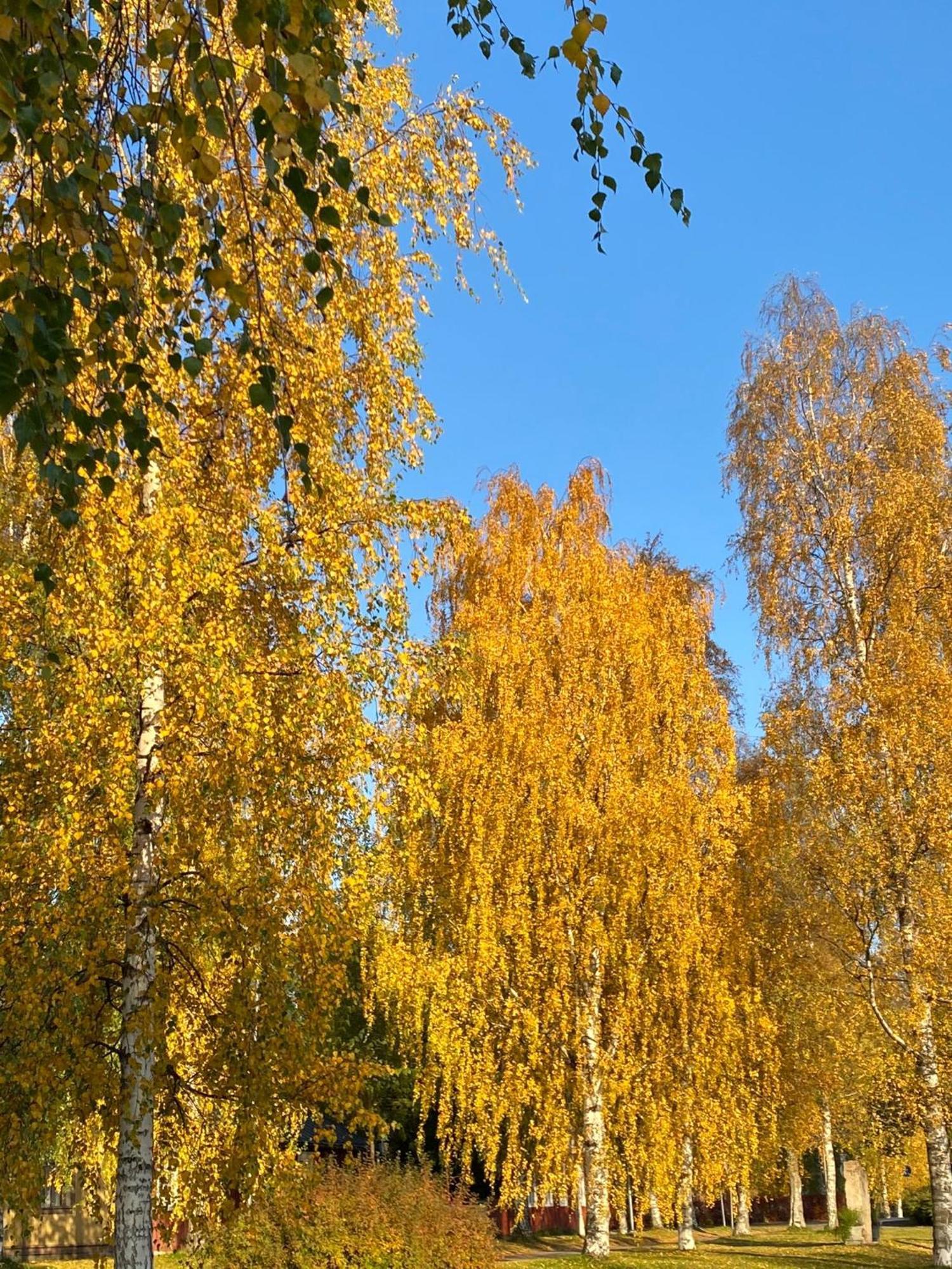 Taljatie Apartments Rovaniemi Buitenkant foto
